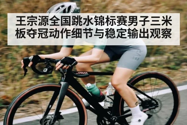王宗源全国跳水锦标赛男子三米板夺冠动作细节与稳定输出观察